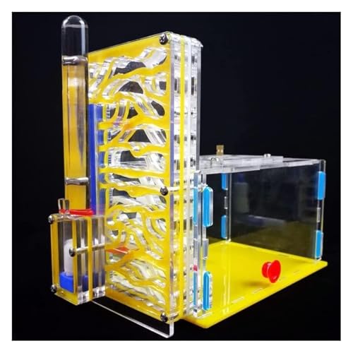Formicarium Habitat Ameisenburg Aus Acryl, Biologieunterricht, Ameisen, Wissenschaftsbausatz Für Selbermachen, Ameisenfarm, Ameisenlebensraum Beobachten, Ameisennestfarm(Yellow) von MEIZHITU