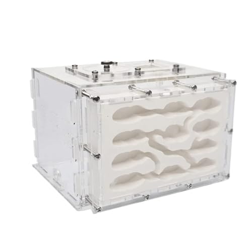 Formicarium Habitat Ameisenburg Aus Gips Ameisenfarm Leicht Zu Beobachtendes Ameisenexperiment Ameisennestfarm von MEIZHITU
