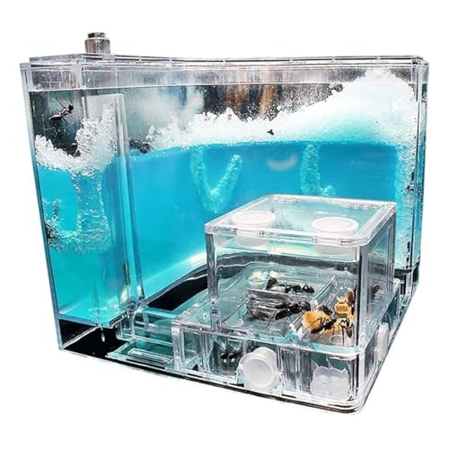 Formicarium Habitat Ameisenburg-Beobachtungsset, Ameisenverhalten Zu Hause Lernen, Ameisenfarm-Tunnel, Ameisennest-Farm von MEIZHITU