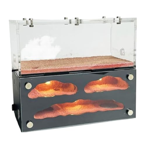 Formicarium Habitat Ameisenfarm, Ameisennest, Farm, USB-unabhängige Lichtsteuerung, Ameisenburg, Leicht Zu Beobachten Und Zu Füttern von MEIZHITU