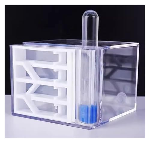 Formicarium Habitat Ant Haus Ant Farm Acryl Transparent Ant Beobachtung Verhalten Studie Ameisen Und Königin Bildung Ant Nest von MEIZHITU