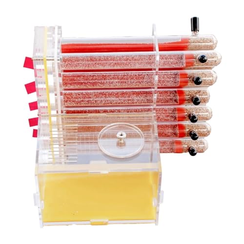 Formicarium Habitat Gips Reagenzglas Ameisenfarm Acryl Transparent Ameisen Beobachtung Verhalten Studie Ameisen Und Königin Bildung von MEIZHITU