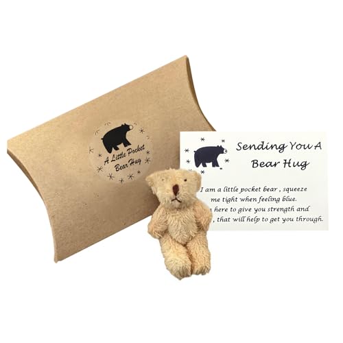 MEMOFYND 1-Teiliges Pocket Hug Bear-Geschenkset, Inspirierendes Und Fehlendes Kreatives Geburtstagsgeschenk, Mini-Plüschbär-Dekorationskarte, Geeignet Für Familie Und Freunde (Hellbraun) von MEMOFYND