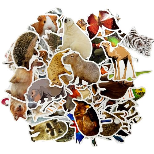 MEMOFYND 100 Tieraufkleber, Realistische Tieraufkleber, Wasserfeste Fotoaufkleber, Wiederverwendbare Aufkleber Für Kinder, Waldtieraufkleber, Lustige Aufkleber Für Kinder MEMOFYND 100 Tieraufkleber, Realistische Tieraufkleber, Wasserfeste Fotoaufkleber, Wiederverwendbare Aufkleber Für Kinder, Waldtieraufkleber, Lustige Aufkleber Für Kinder von MEMOFYND