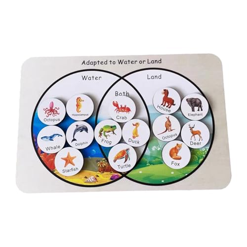 MERIGLARE Kinder Matching Puzzle, Frühes Lernspielzeug für Kinder Im Alter von 2 3 4 Jahren von MERIGLARE