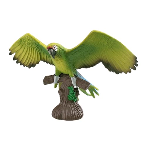 MERIGLARE Realische Papageienfiguren, Vogel Actionfigur, Kinder Spielset, Papagei auf AST, Modell für Desktop Dekoration, Grün MERIGLARE Realische Papageienfiguren, Vogel Actionfigur, Kinder Spielset, Papagei auf AST, Modell für Desktop Dekoration, Grün von MERIGLARE