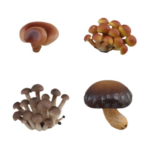 MERIGLARE Simulierter Pilz Wachstumszyklus Spielzeug, Pädagogisches Spielzeug Set, Wissenschaftslehre Requisiten, Kinder Pilz Lernset für Spiele, Partys, Braune Champignons MERIGLARE Simulierter Pilz Wachstumszyklus Spielzeug, Pädagogisches Spielzeug Set, Wissenschaftslehre Requisiten, Kinder Pilz Lernset für Spiele, Partys, Braune Champignons von MERIGLARE