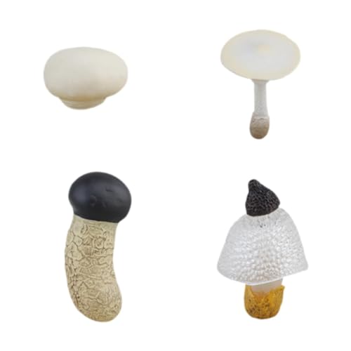 MERIGLARE Simulierter Pilz Wachstumszyklus Spielzeug, Pädagogisches Spielzeug Set, Wissenschaftslehre Requisiten, Kinder Pilz Lernset für Spiele, Partys, Weiße Champignons MERIGLARE Simulierter Pilz Wachstumszyklus Spielzeug, Pädagogisches Spielzeug Set, Wissenschaftslehre Requisiten, Kinder Pilz Lernset für Spiele, Partys, Weiße Champignons von MERIGLARE