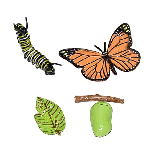 Tierwachstumszyklus Figuren, Montessori Spielzeug, Lehr Requisiten für 3 bis 6 Jahre, Puzzle für 3 bis 6 Jahre, Pädagogisch, Schmetterling 10x5.5cm von MERIGLARE