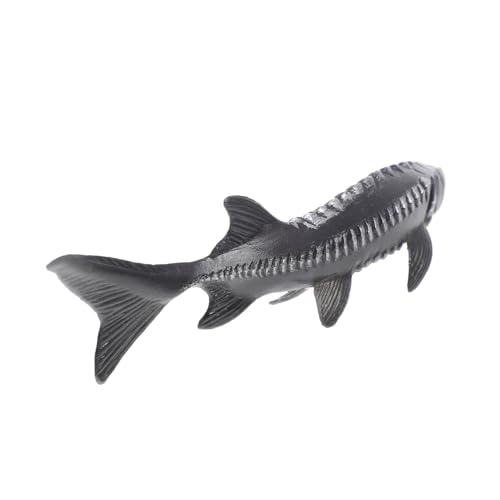 MERRYHAPY Realistisches Chinesischer Stör Modell aus Hochwertigem PVC Tierfigur für Leicht Tragbar Pädagogisches Aquarium Deko und Meeresbewohner Lernspielzeug MERRYHAPY Realistisches Chinesischer Stör Modell aus Hochwertigem PVC Tierfigur für Leicht Tragbar Pädagogisches Aquarium Deko und Meeresbewohner Lernspielzeug von MERRYHAPY