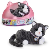 BABY born Meine Katze Cookie mit Box von MGA Zapf Creation GmbH