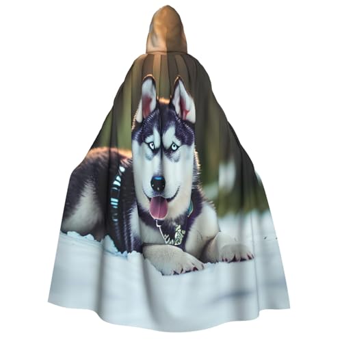 MGGAklp Kapuzenumhang mit Husky-Hunde-Aufdruck, für Erwachsene, Halloween-Umhang, Kostüm, Partyzubehör MGGAklp Kapuzenumhang mit Husky-Hunde-Aufdruck, für Erwachsene, Halloween-Umhang, Kostüm, Partyzubehör von MGGAklp