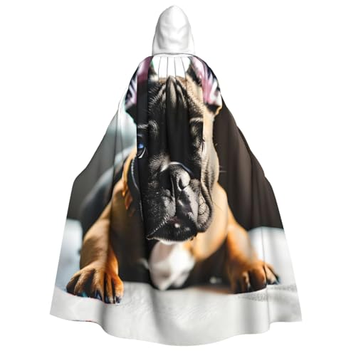 MGGAklp Kapuzenumhang mit französischer Bulldogge für Erwachsene, mit Halloween-Umhang, Kostüm, Partyzubehör MGGAklp Kapuzenumhang mit französischer Bulldogge für Erwachsene, mit Halloween-Umhang, Kostüm, Partyzubehör von MGGAklp