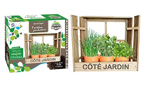 PLANETE Plante - Fensterblumenkasten mit 3 Bambustöpfen und 3 verschiedenen Samensorten zum Pflanzen - Gartenset - 170034 - Holz - Garten - Natur - Pflanze - Blumen - Ab 4 Jahren von PLANETE PLANTE