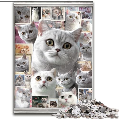 Puzzle 1000 Teile für Erwachsene, Britisch Kurzhaarkatze, Collage-Puzzle, anspruchsvolles Denkspiel, Familienaktivität, Heimdekoration, 50x75cm Puzzle 1000 Teile für Erwachsene, Britisch Kurzhaarkatze, Collage-Puzzle, anspruchsvolles Denkspiel, Familienaktivität, Heimdekoration, 50x75cm von MGQWPZDBD