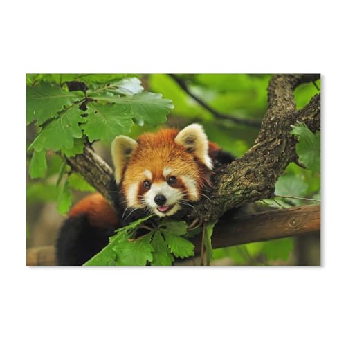 Puzzle 1000 Teile für Erwachsene，Panda，Klassische Puzzle Teenager Jungen Mädchen Puzzle DIY Moderne Wohnkultur Einzigartiges Geschenk Intellektuelles Spiel（38x26cm）-124 von MHYBY