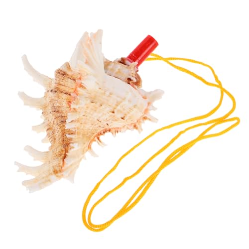 MINAOLULUS Muschelwinkel Muscheln Muschelschalen natürliche Meeresmuschel große Schale Muscheldekor große Muschelschale Muschelhorn Muschelspielzeug von MINAOLULUS