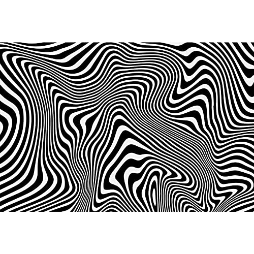 MISITU 1000 Teile Puzzle für Erwachsene Schwierig 1000 Puzzle Schwarz Weiß mit leerer Rückseite Kunst Puzzles von MISITU