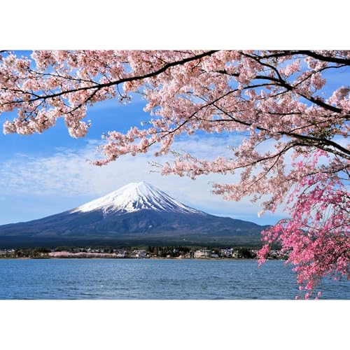 MISITU Puzzle 1000 Teile für Erwachsene und Kinder ab 14 Jahren Klassische Puzzles, Vulkan Fuji Puzzle 1000 Teile MISITU Puzzle 1000 Teile für Erwachsene und Kinder ab 14 Jahren Klassische Puzzles, Vulkan Fuji Puzzle 1000 Teile von MISITU