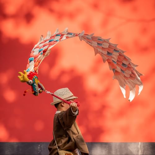MIXXON Chinesische Folk Loong Poi Set, Mit 3D Drachen Kopf/Schaukel Seil/Reisetasche/6.3Ft Drachen Band, Drachen Tanz Für Kinder Fitness Ausrüstung von MIXXON