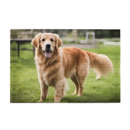 Jigsaw Puzzles1000 Teile Mjhkxlj Cute Golden Retriever Bildqualität Holzpuzzle für Erwachsene und Kinder, lustige Puzzles, Stressabbau Puzzles Jigsaw Puzzles1000 Teile Mjhkxlj Cute Golden Retriever Bildqualität Holzpuzzle für Erwachsene und Kinder, lustige Puzzles, Stressabbau Puzzles von MJHKXLJ