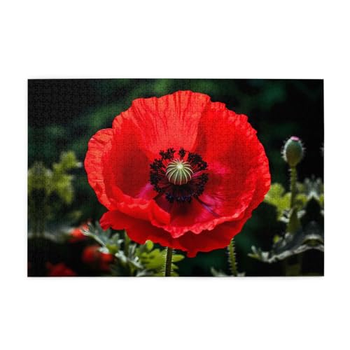 Jigsaw Puzzles1000 Teile Mjhkxlj Schöne rote Mohnblume Bildqualität Holzpuzzle für Erwachsene und Kinder, lustige Puzzles, Stressabbau Puzzles Jigsaw Puzzles1000 Teile Mjhkxlj Schöne rote Mohnblume Bildqualität Holzpuzzle für Erwachsene und Kinder, lustige Puzzles, Stressabbau Puzzles von MJHKXLJ