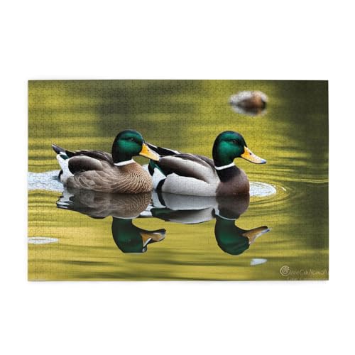 Jigsaw Puzzles1000 Teile Mjhkxlj Stockente Bildqualität Holzpuzzle für Erwachsene und Kinder, lustige Puzzles, Stressabbau-Puzzles Jigsaw Puzzles1000 Teile Mjhkxlj Stockente Bildqualität Holzpuzzle für Erwachsene und Kinder, lustige Puzzles, Stressabbau-Puzzles von MJHKXLJ