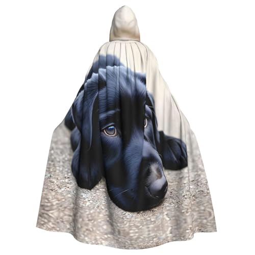 MJHKXLJ Niedlicher Labrador-Hunde-Umhang mit Kapuze für Halloween, Rollenspiele und Kostümpartys MJHKXLJ Niedlicher Labrador-Hunde-Umhang mit Kapuze für Halloween, Rollenspiele und Kostümpartys von MJHKXLJ