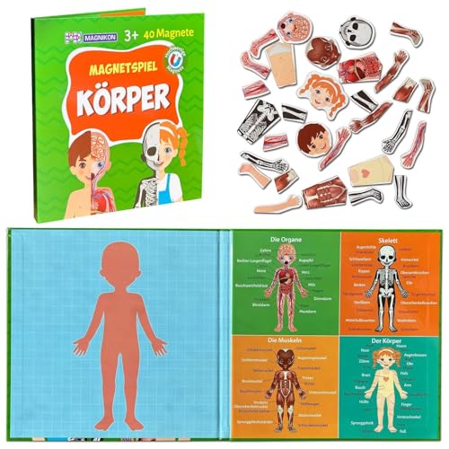 MAGNIKON Magnetisches Lernspiel über den menschlichen Körper für Kinder ab 3 Jahren, Human Body Game, Kinder Motorikspielzeug mit großem Spielfeld für die Beschäftigung bei der Autofahrt, Geschenk MAGNIKON Magnetisches Lernspiel über den menschlichen Körper für Kinder ab 3 Jahren, Human Body Game, Kinder Motorikspielzeug mit großem Spielfeld für die Beschäftigung bei der Autofahrt, Geschenk von MK MAGNIKON
