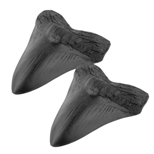 MLEHN Megalodon Giant Shark Tooth, Megalodon Shark Tooth Fossil Replica Black Resin Megalodon Gifts Tooth Decoration For Learning von MLEHN