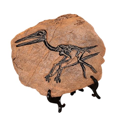 MLWSKERTY Dinosaurier Fossilienharze Dinosaurier Skelettmodell Schädel Statue Knochenfiguren Replikate Für Desktop Buchregal Display von MLWSKERTY