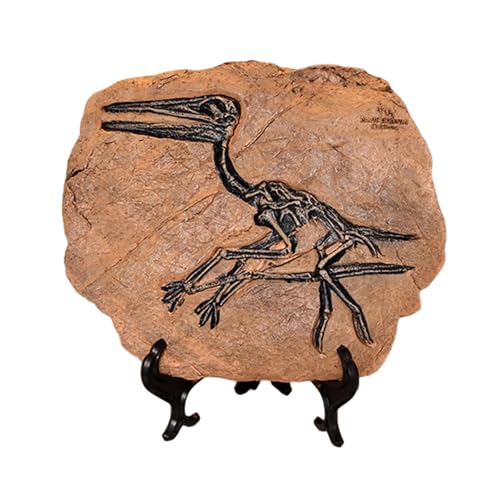 MLWSKERTY Kunsthandwerk Modell Dinosaurier Fossil Simuliert Dinosaurier Harz Statuen Figur für Heimdekoration pädagogische Verwendung von MLWSKERTY