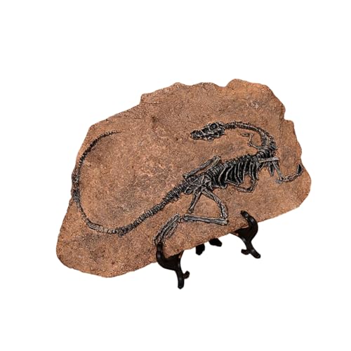MLWSKERTY Kunsthandwerk Modell Dinosaurier Fossil Simuliert Dinosaurier Harz Statuen Figur für Heimdekoration pädagogische Verwendung von MLWSKERTY