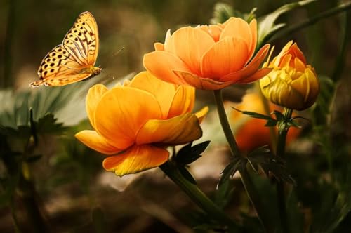 Orangefarbene Schmetterlingsblume – 1500-teiliges Holzpuzzle – Puzzle für Familienfeiern von MMACPUZZLE