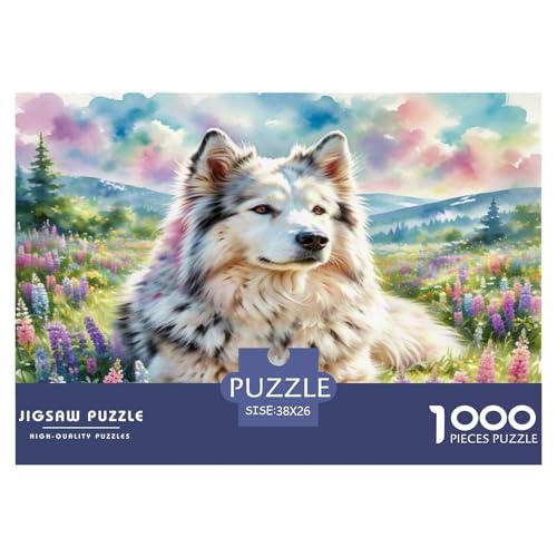 Amerikanischer Eskimo Hund 1000 Teile Tierhund Puzzles Premium Quality Familienspiel - Home Room Decoration Unterhaltung Für Erwachsene Und Kinder Buntes Spielzeug 38x26cm/1000pcs von MMDASBVPE