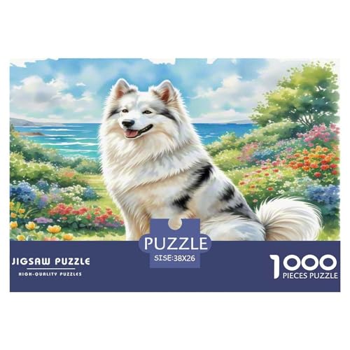 Amerikanischer Eskimo Hund 1000-teiliges Tierhund Puzzles Premium Quality Pädagogisch - Home Room Decoration Für Erwachsene, Familien Passen Geschenk Für Kinder Von 12 Jahren 38x26cm/1000pcs von MMDASBVPE