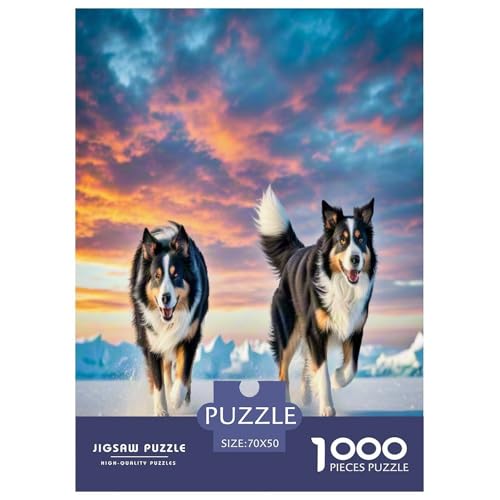 Australischer Schäfer And Icelandic Shepherd 1000 Teile Tierhund Puzzles Premium Quality Familienspiel - Home Room Decoration Unterhaltung Für Erwachsene Und Kinder Wertvoll Geschenk Für 70x50cm/1000p von MMDASBVPE