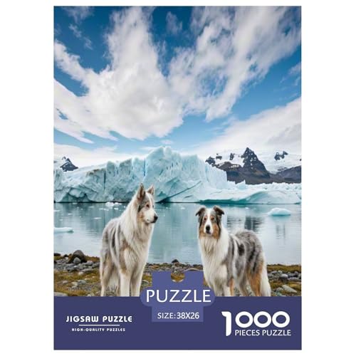 Australischer Schäfer And Icelandic Shepherd 1000 Teile Tierhund Puzzles Premium Quality Pädagogisch - Home Room Decoration Unterhaltung Für Erwachsene Und Kinder Geschenk Für Von 12 Jahren 38x26cm/10 Australischer Schäfer And Icelandic Shepherd 1000 Teile Tierhund Puzzles Premium Quality Pädagogisch - Home Room Decoration Unterhaltung Für Erwachsene Und Kinder Geschenk Für Von 12 Jahren 38x26cm/10 von MMDASBVPE