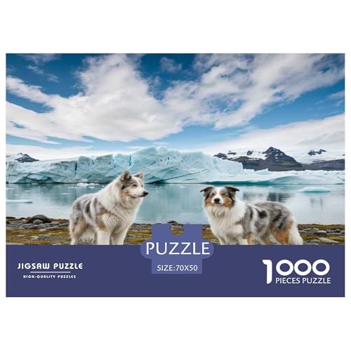 Australischer Schäfer And Icelandic Shepherd 1000 Teile Tierhund Puzzles Premium Quality Pädagogisch - Home Room Decoration Unterhaltung Für Erwachsene Und Kinder Wertvoll Geschenk Für 70x50cm/1000pcs von MMDASBVPE