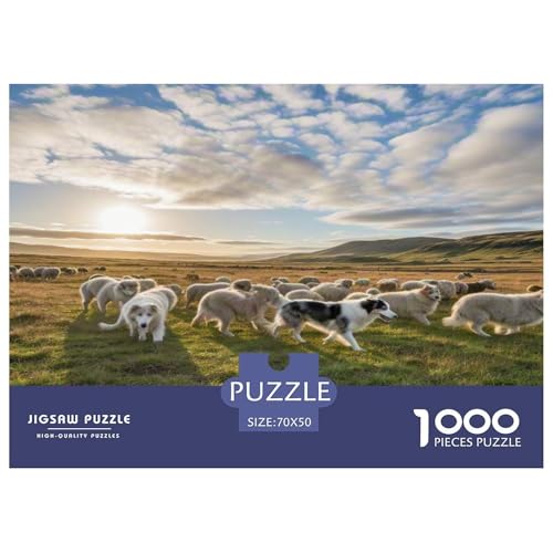 Australischer Schäfer And Icelandic Shepherd 1000 Teile Tierhund Puzzles Premium Quality Pädagogisch - Home Room Decoration Unterhaltung Für Erwachsene Und Kinder Wertvoll Geschenk Für 70x50cm/1000pcs von MMDASBVPE