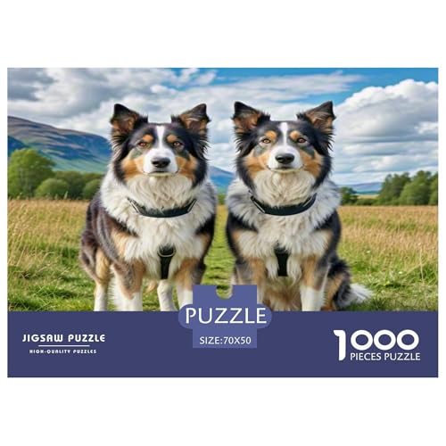 Australischer Schäfer and Icelandic Shepherd 1000-teiliges Tierhund Puzzles Premium Quality Pädagogisch - Home Room Decoration Für Erwachsene Und Kinder Ab 12 Jahren Buntes Spielzeug 70x50cm/1000pcs von MMDASBVPE