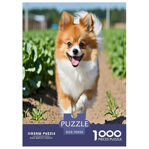 Chihuahua 1000 Teile Tier Puzzles Premium Quality Pädagogisch - Home Room Decoration Für Erwachsene Und Kinder Ab 12 Jahren Geschenk Für Von 12 Jahren 70x50cm/1000pcs Chihuahua 1000 Teile Tier Puzzles Premium Quality Pädagogisch - Home Room Decoration Für Erwachsene Und Kinder Ab 12 Jahren Geschenk Für Von 12 Jahren 70x50cm/1000pcs von MMDASBVPE