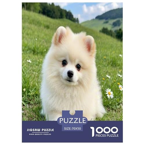 Chihuahua 1000-teiliges Tier Puzzles Premium Quality Familienspiel - Home Room Decoration Für Erwachsene Und Kinder Ab 12 Jahren Wertvoll Geschenk Für 70x50cm/1000pcs von MMDASBVPE