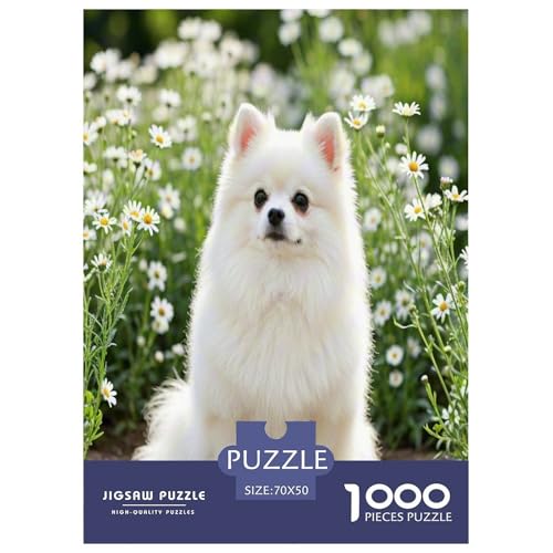 Chihuahua 1000-teiliges Tier Puzzles Premium Quality Familienspiel - Home Room Decoration Für Erwachsene Und Kinder Ab 12 Jahren Wertvoll Geschenk Für 70x50cm/1000pcs Chihuahua 1000-teiliges Tier Puzzles Premium Quality Familienspiel - Home Room Decoration Für Erwachsene Und Kinder Ab 12 Jahren Wertvoll Geschenk Für 70x50cm/1000pcs von MMDASBVPE