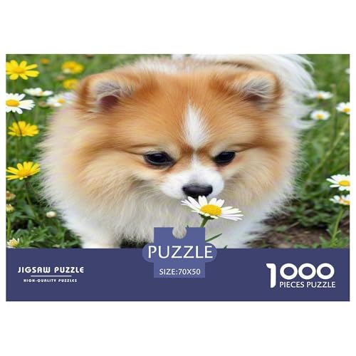 Chihuahua 1000-teiliges Tier Puzzles Premium Quality Pädagogisch - Home Room Decoration Für Erwachsene Und Kinder Ab 12 Jahren Buntes Spielzeug 70x50cm/1000pcs von MMDASBVPE