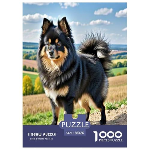 Chihuahua 1000-teiliges Tier Puzzles Premium Quality Pädagogisch - Home Room Decoration Für Erwachsene Und Kinder Ab 12 Jahren Wertvoll Geschenk Für 38x26cm/1000pcs von MMDASBVPE