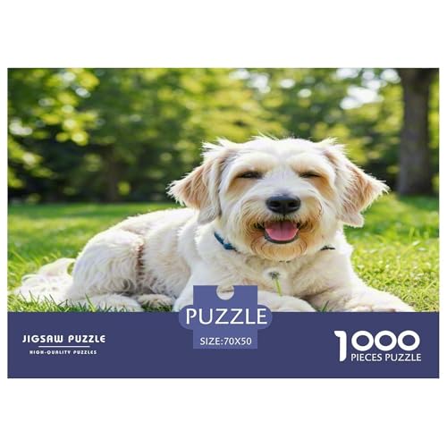 Irischer Terrier 1000 Teile Kleine Tierhunde Puzzles Premium Quality Familienspiel - Home Room Decoration Erwachsene Und Kinder Buntes Spielzeug 70x50cm/1000pcs von MMDASBVPE