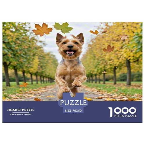 Irischer Terrier 1000 Teile Kleine Tierhunde Puzzles Premium Quality Familienspiel - Home Room Decoration Für Erwachsene, Familien Passen Buntes Spielzeug 70x50cm/1000pcs Irischer Terrier 1000 Teile Kleine Tierhunde Puzzles Premium Quality Familienspiel - Home Room Decoration Für Erwachsene, Familien Passen Buntes Spielzeug 70x50cm/1000pcs von MMDASBVPE