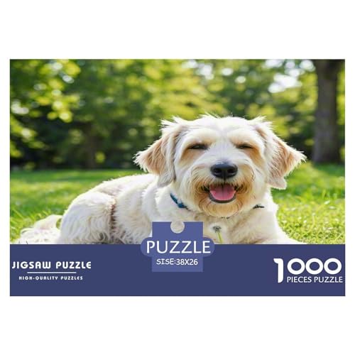 Irischer Terrier 1000 Teile Kleine Tierhunde Puzzles Premium Quality Pädagogisch - Home Room Decoration Erwachsene Und Kinder Geschenk Für Von 12 Jahren 38x26cm/1000pcs Irischer Terrier 1000 Teile Kleine Tierhunde Puzzles Premium Quality Pädagogisch - Home Room Decoration Erwachsene Und Kinder Geschenk Für Von 12 Jahren 38x26cm/1000pcs von MMDASBVPE