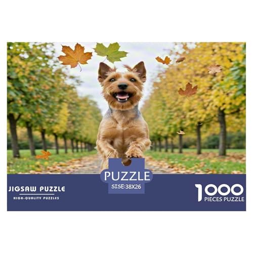 Irischer Terrier 1000 Teile Kleine Tierhunde Puzzles Premium Quality Pädagogisch - Home Room Decoration Unterhaltung Für Erwachsene Und Kinder Buntes Spielzeug 38x26cm/1000pcs Irischer Terrier 1000 Teile Kleine Tierhunde Puzzles Premium Quality Pädagogisch - Home Room Decoration Unterhaltung Für Erwachsene Und Kinder Buntes Spielzeug 38x26cm/1000pcs von MMDASBVPE